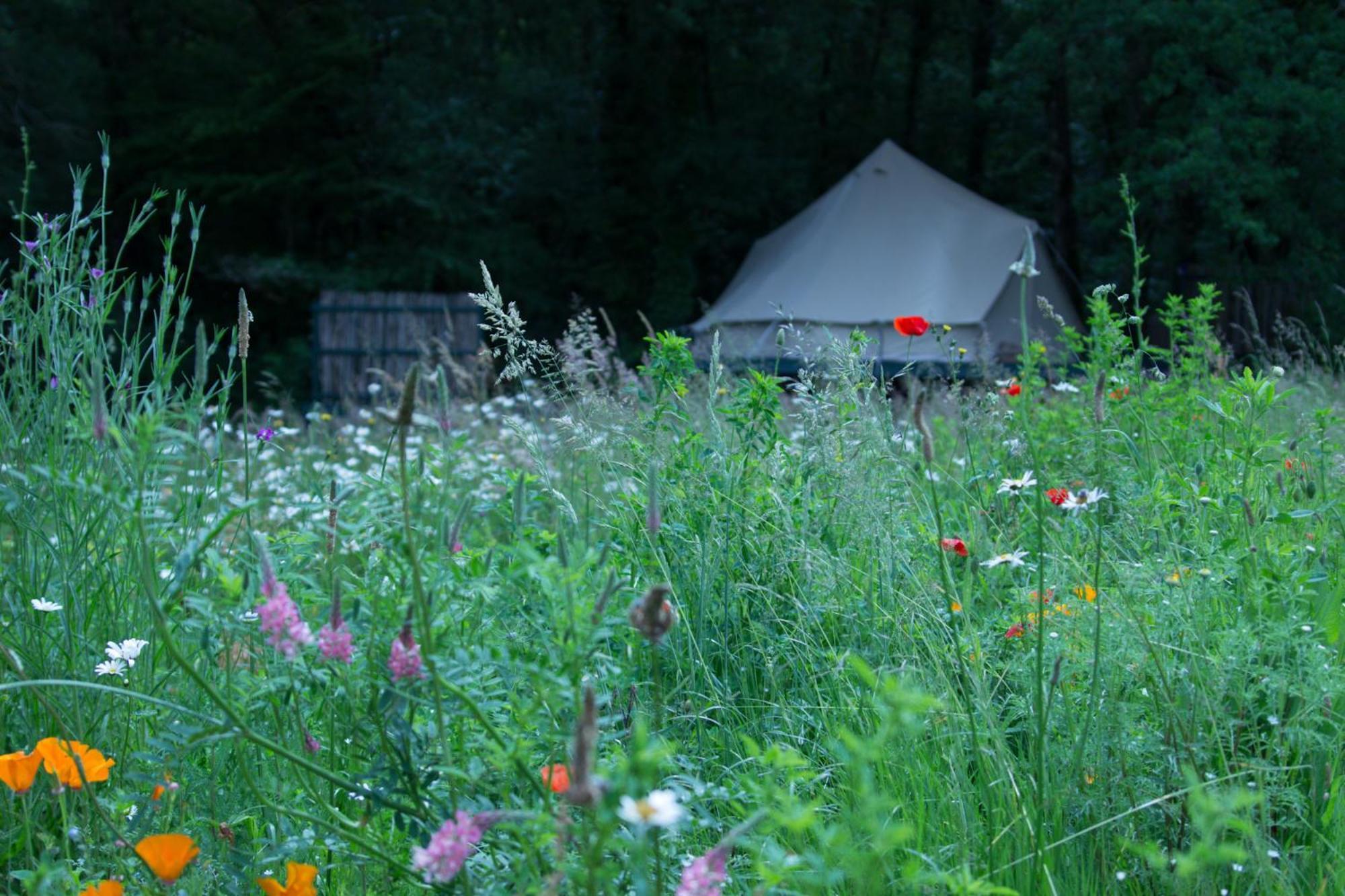 Belair Le Camping Hotel Champagnac-de-Belair Exterior photo